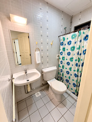 Limau Park (D16), Condominium #619494431